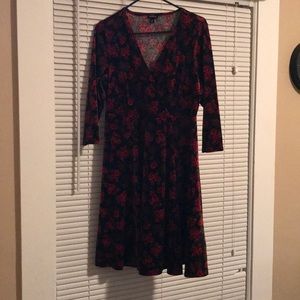 Torrid Velvet Rose Dress